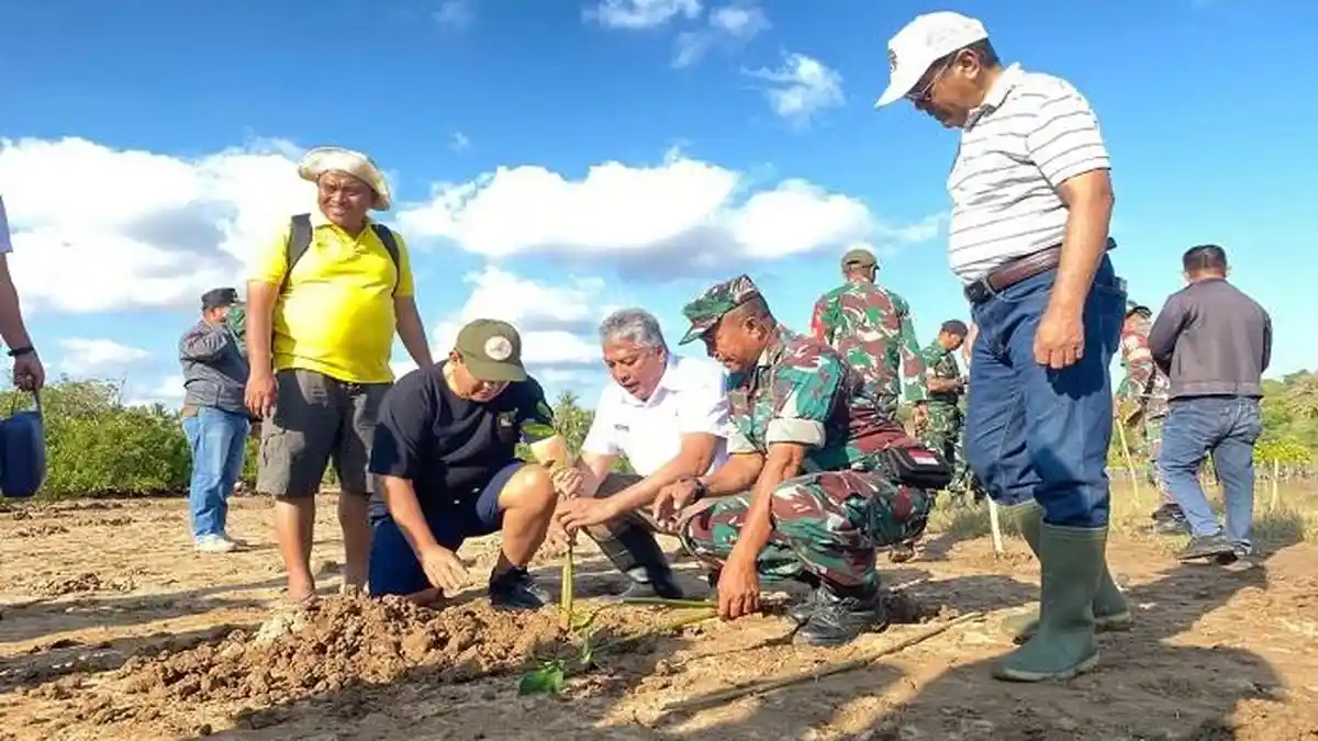Pemkab Sabu Raijua Tanam 1.000 Anakan Mangrove di Sabu Barat