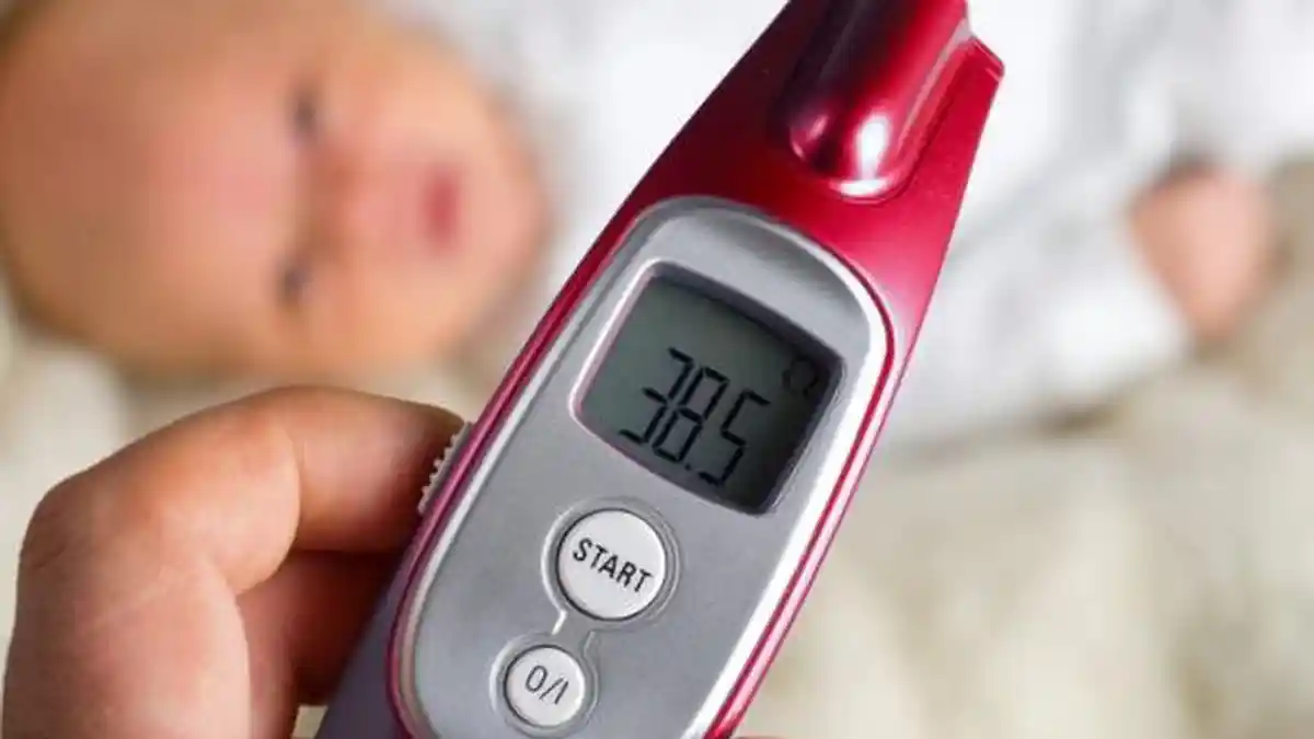 Apa Itu Termometer dan Jenis Termometer