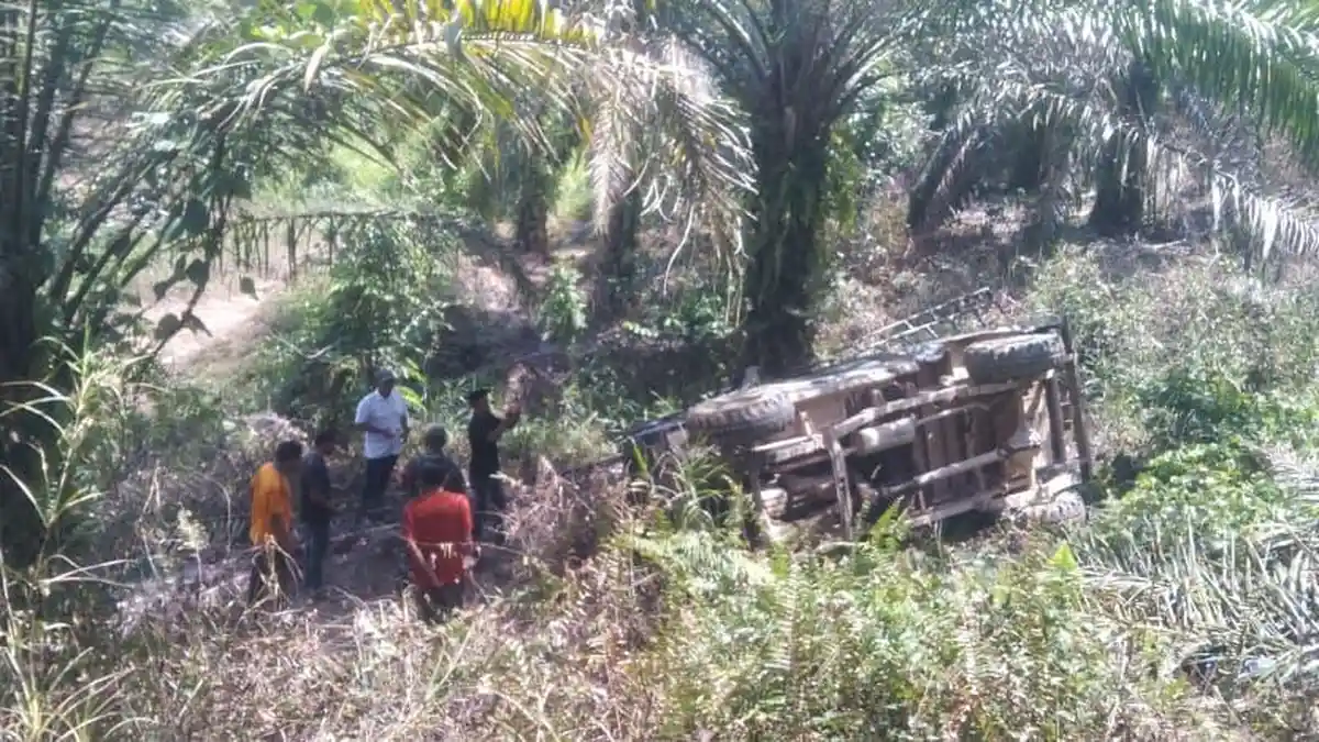 Mobil Bawa Pupuk Kecelakaan di Nagan, Seorang Pekerja Meninggal, 2 Luka-luka