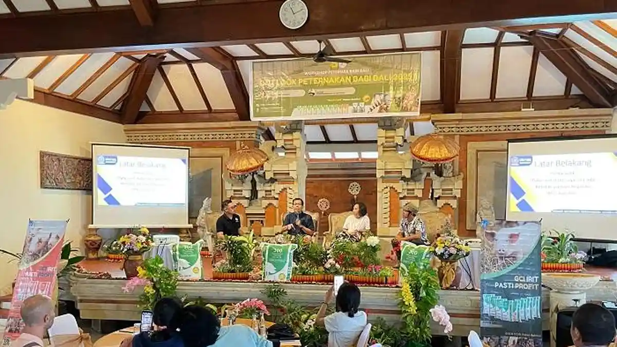 Kenali Prospek dan Outlook Bisnis Peternakan Babi 2025, Gold Coin Adakan Workshop di Bali