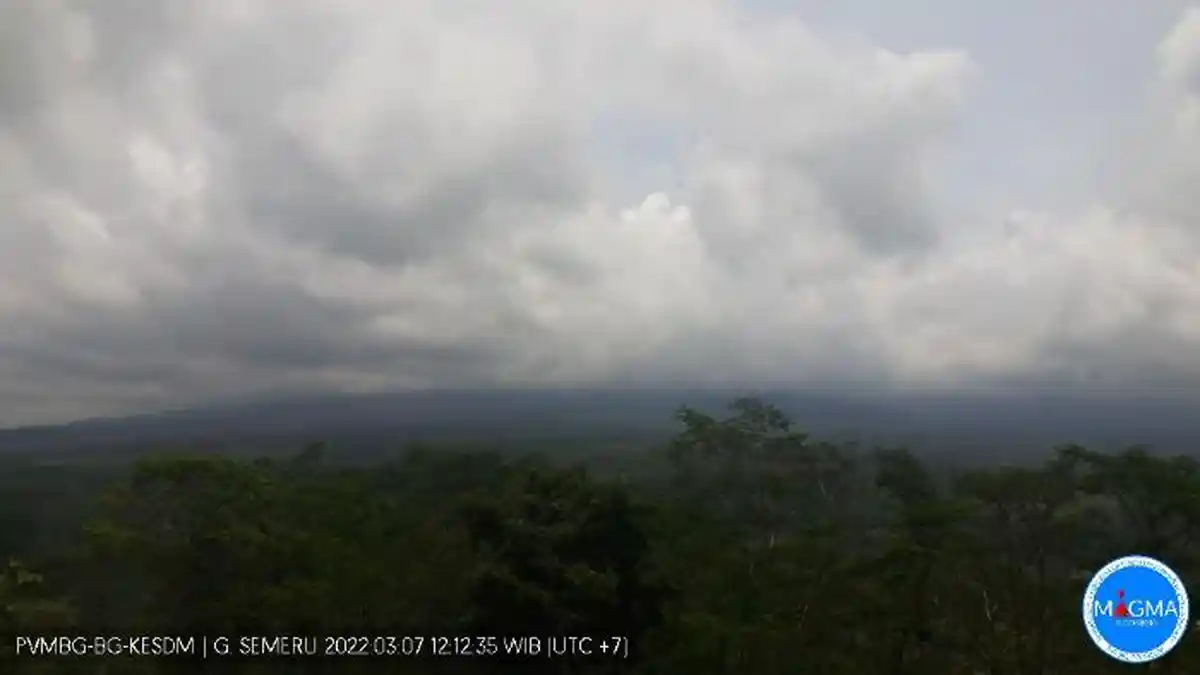 UPDATE Gunung Api Level 3 Siaga: Gunung Semeru Mengalami 7 kali Gempa Erupsi
