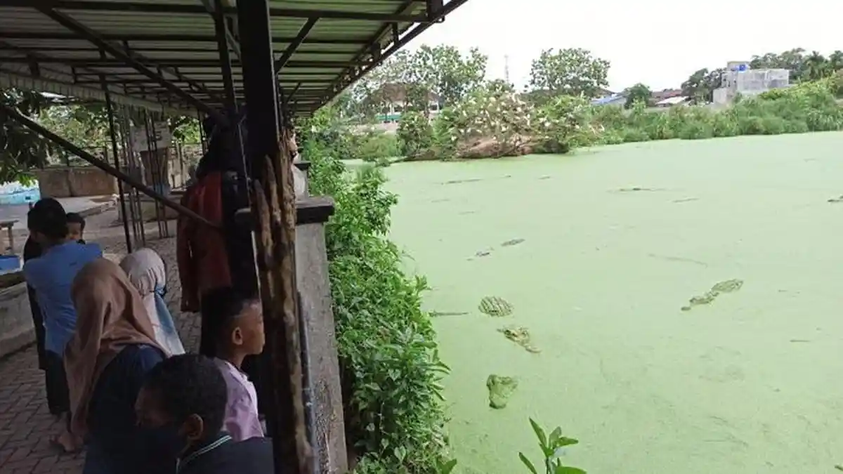 TIGA Spot Keren Berfoto di Taman Buaya Asam Kumbang Jadi Destinasi Wisata Alternatif Warga Medan
