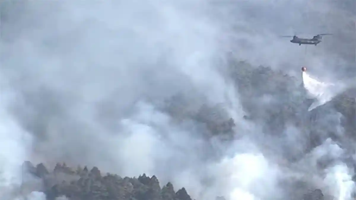 Setelah Seminggu, Kebakaran Hutan di Yamanashi Jepang Mulai Mereda
