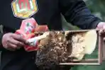Penangkaran Lebah Madu Takoma di Simalungun