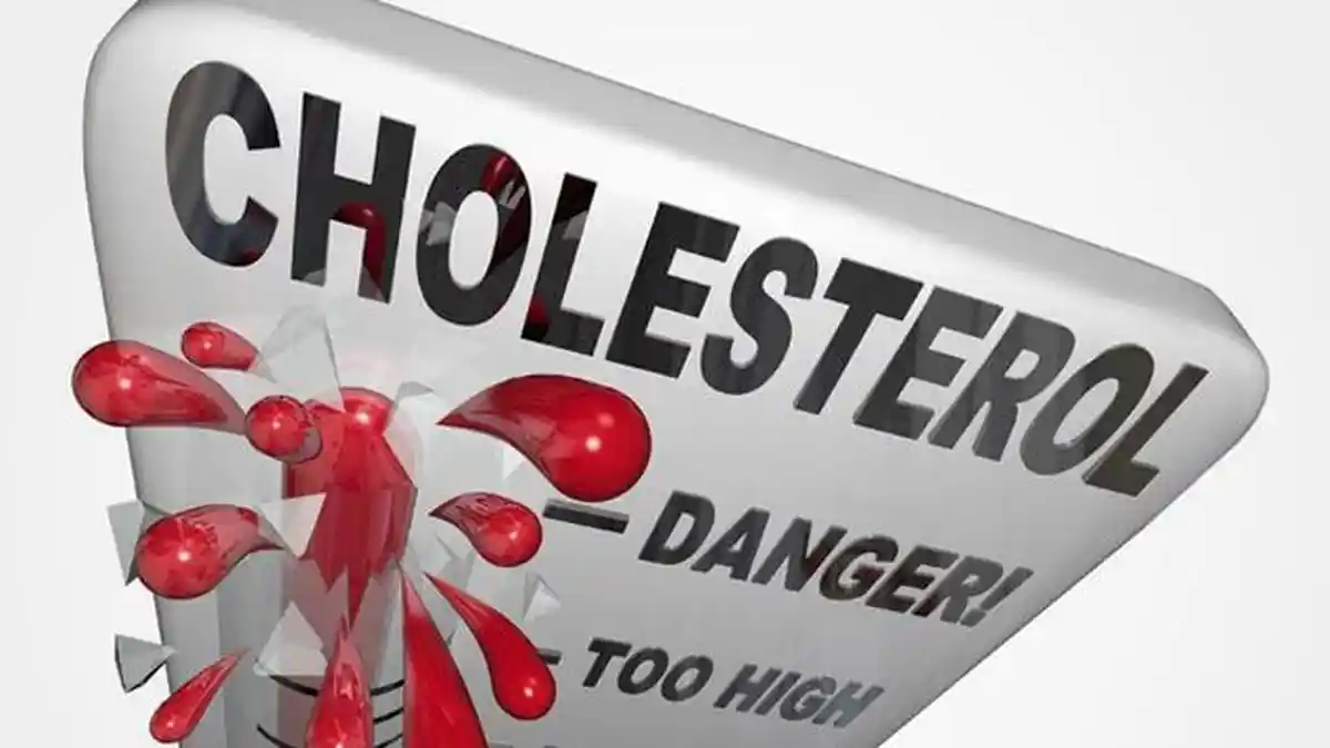 Cara Mudah Turunkan Kadar Kolesterol Jahat di Tubuh, Coba Rutin Konsumsi 6 Jenis Makanan Ini