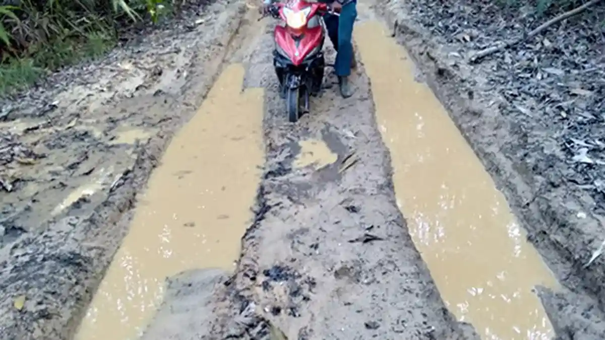 Progres Coklit Sudah 60 Persen dari 2,6 Juta Pemilih di Sembilan Pilkada di Riau, Ini Kesulitannya
