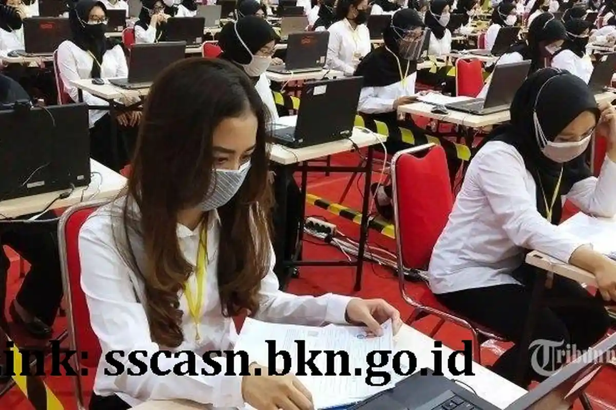 Link Cek Hasil Seleksi Administrasi CPNS dan PPPK 2023