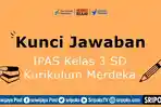 Latihan-Soal-Ayo-Berlatih-IPAS-kelas-3-SD-halaman-190-Kurikulum-Merdeka.jpg