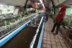 Asrinya Kolong Flyover Kemayoran Disulap Menjadi Green House