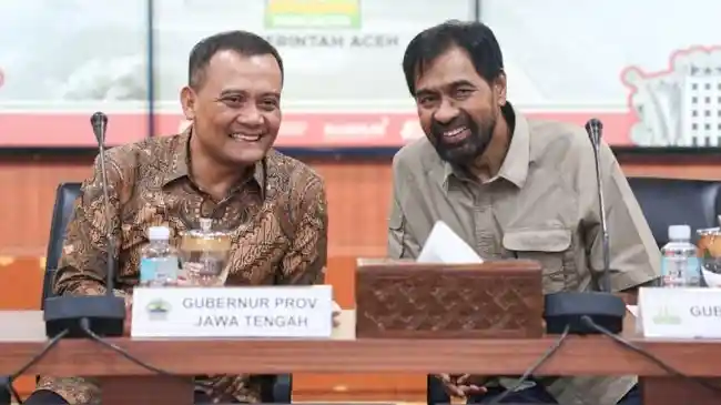 Tribun