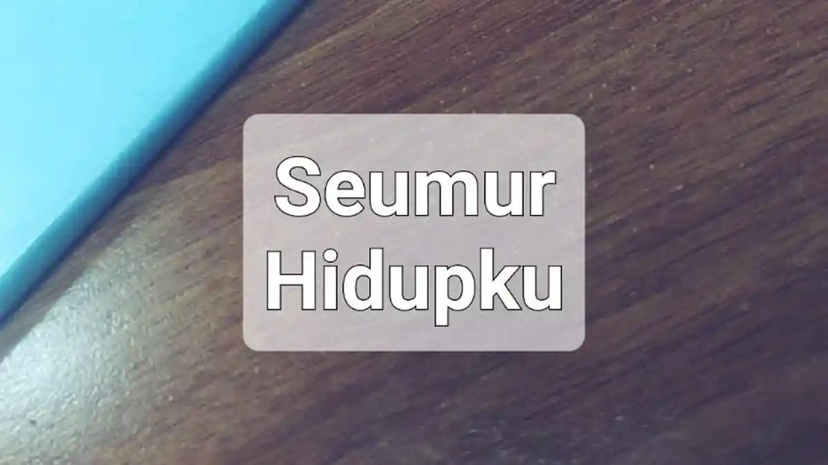 Lirik Lagu Seumur Hidupku - Delladevina