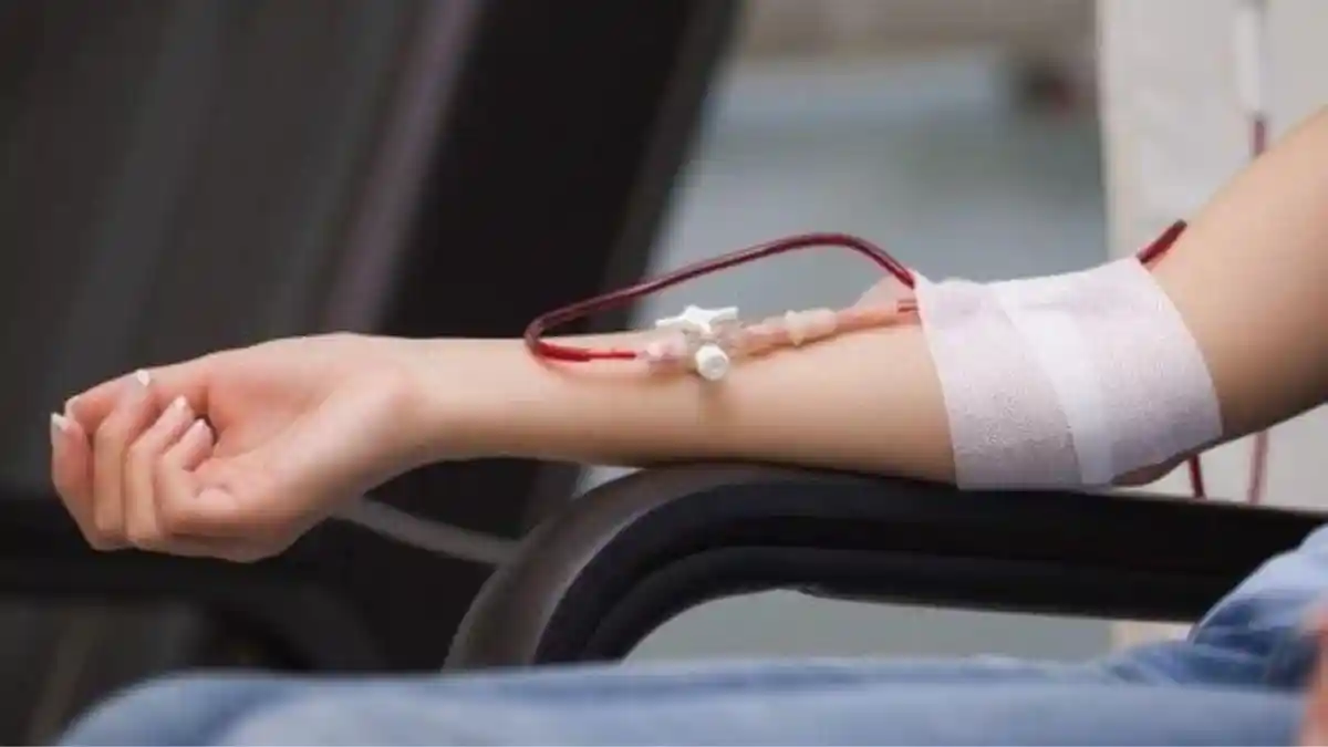 14 Manfaat Donor Darah untuk Kesehatan, dari Imun hingga jantung