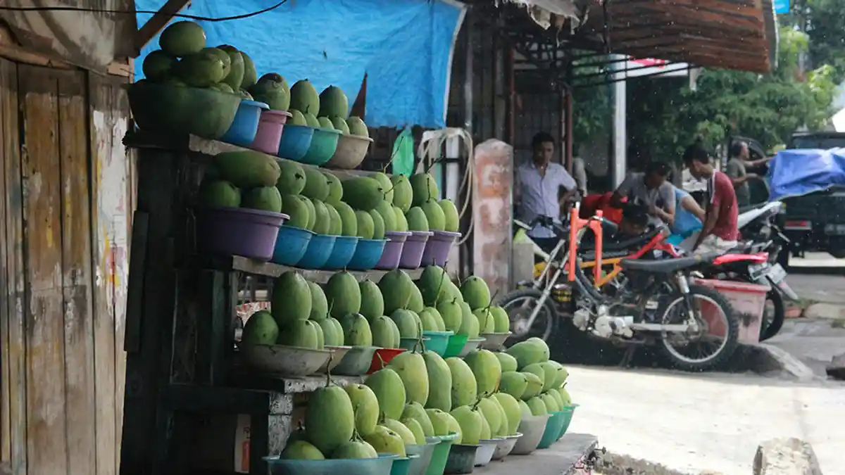 Air Rebusan Mangga Sembuhkan Diabetes, Minum Selama 30 Hari Gula Darah Normal