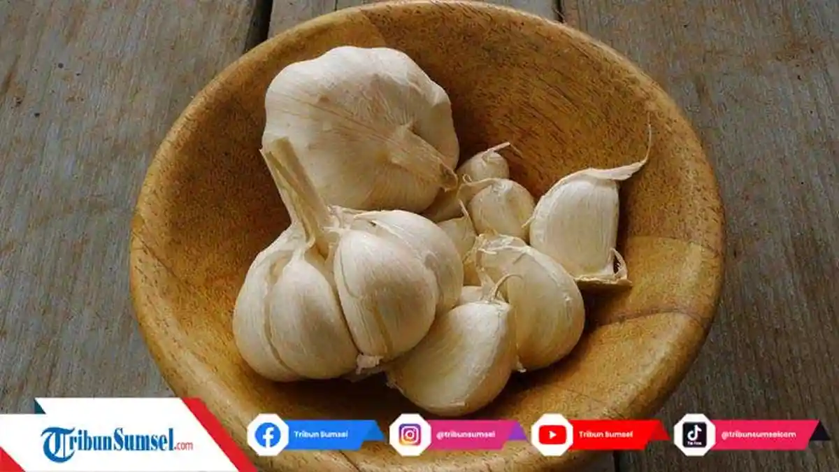 Bawang Putih untuk Mengobati Panu di Wajah dan Punggung Secara Permanen, Lakukan Secara Rutin