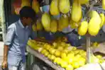 timun-suri-buah-khas-bulan-ramadan_20230407_214045.jpg