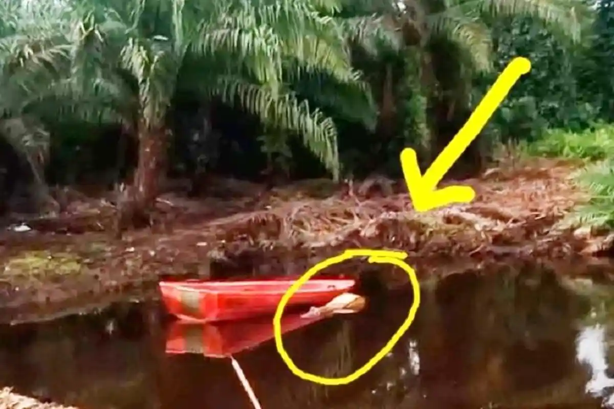 UPDATE LIKUIFAKSI: Excavator Masih Tenggelam di Lumpur Saloadak Mamuju Tengah, Jalan Dialihkan 