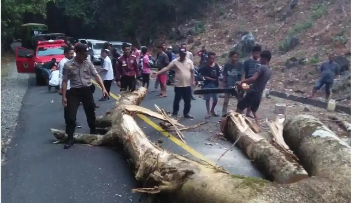 Polsek Bantimurung Evakuasi Pohon Tumbang di Jalan Poros Maros-Bone