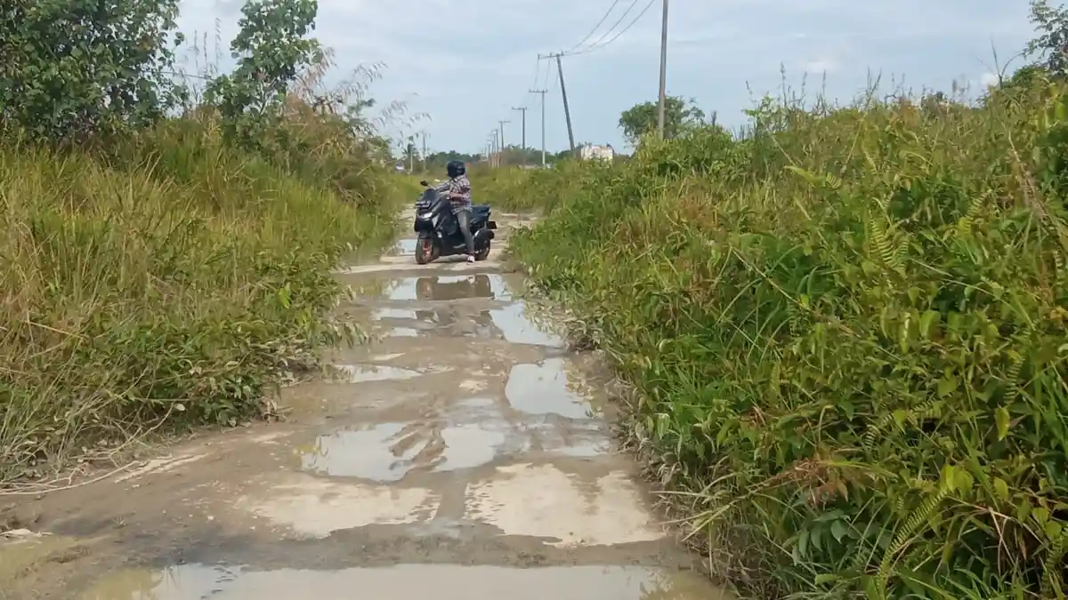 Lancarkan Mobilitas Warga, Dinas PUPR Perkim Harap Pemerintah Pusat Bantu Perbaikan Jalan di Kaltara