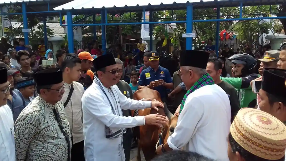 Djarot Berharap Model Penampungan dan Pemotongan Hewan Kurban Bermanfaat
