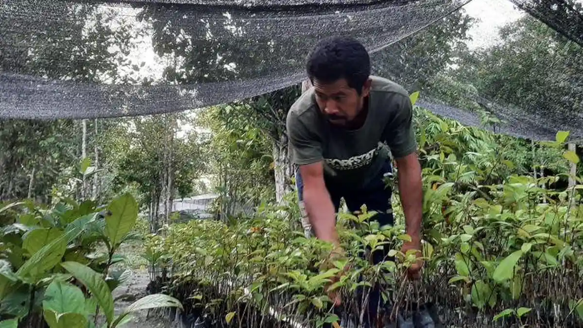 Pengelola FNPF Konservasi Jerumbun, Ternyata Dulunya Juga Sempat Terlibat Dalam Perusakan Hutan