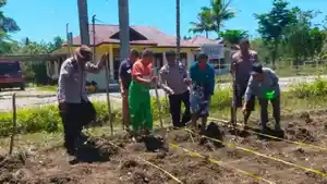 Polsek-Rinhat-Tanam-Jagung-Quartal-IV-Dukung-Program-Ketahanan-Pangan-Nasional.jpg