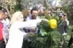 Gubernur DKI dan Dubes Finlandia Tanam Pohon Cemara