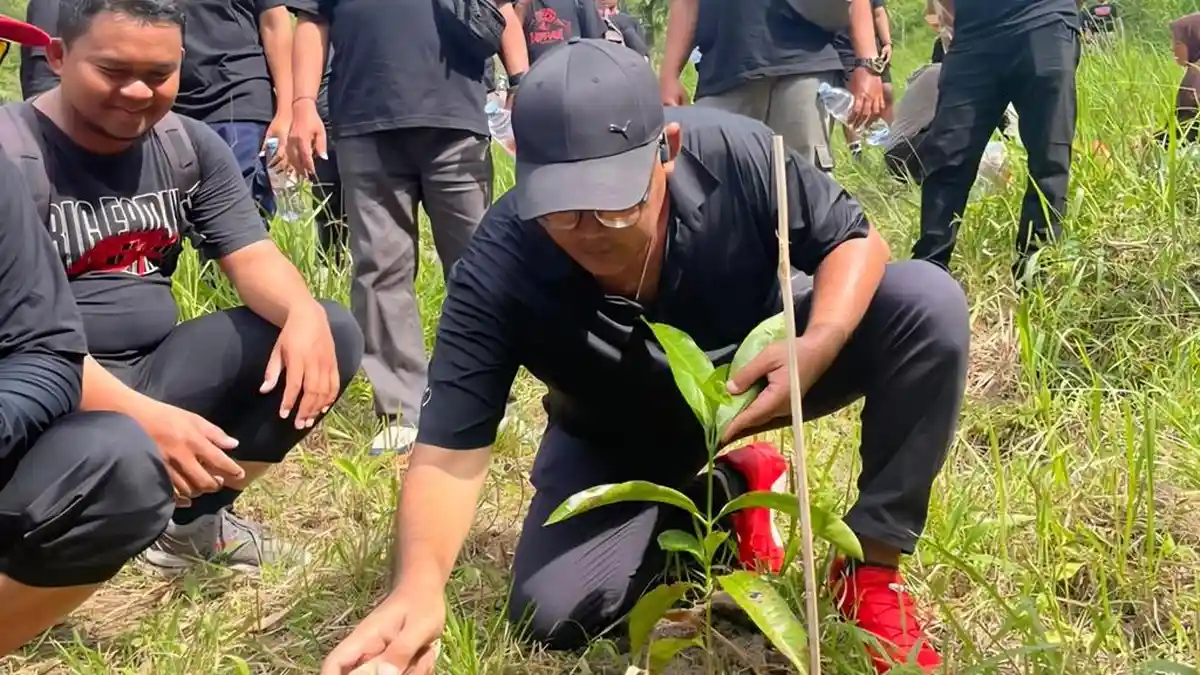 Ketua DPRD Kota Yogya Tanam 10 Pohon Pronojiwo di Lereng Merapi, Ternyata Ada Pesan Mendalamnya