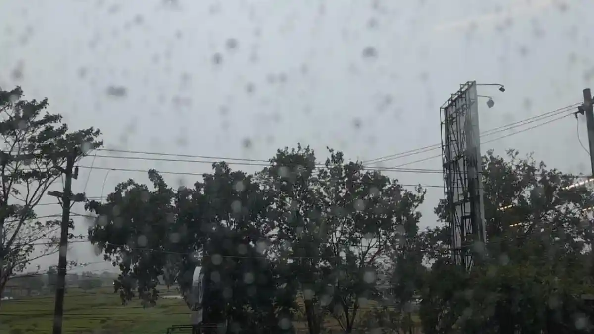 Prakiraan Cuaca di Kota Sorong Hari Ini, Sabtu 2 Mei 2026, Diguyur Hujan Ringan