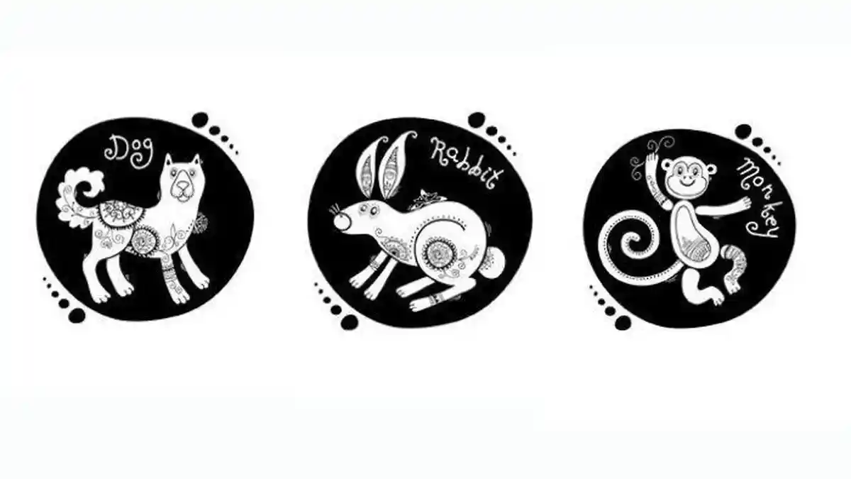 Ramalan Shio Hari Ini 23 Mei 2025, Shio Anjing, Kelinci dan Monyet Kurang Hoki, Jangan Lakukan Ini