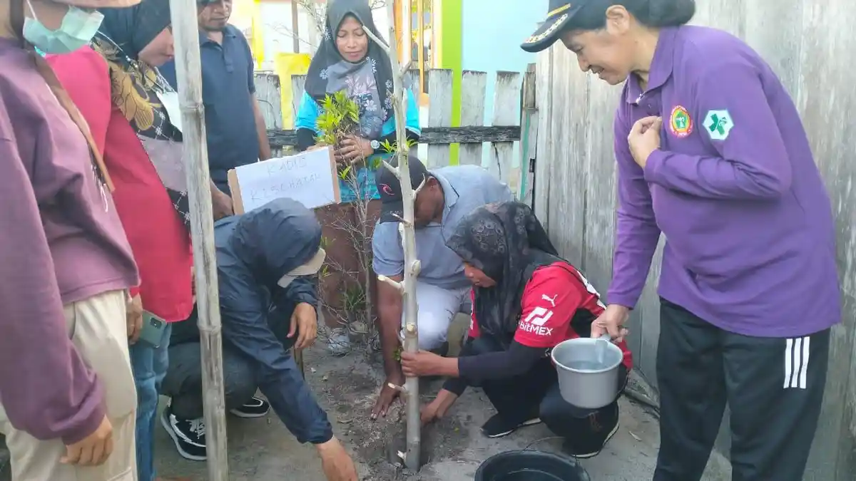 Cegah Stunting dengan Bahan Alami, Dinkes Taliabu Tanam Pohon Kelor di Desa Samuya