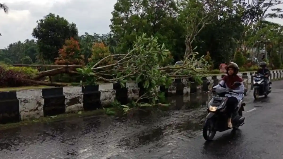 BMKG: Peringatan Dini Hujan Lebat Disertai Angin Kencang dan Petir di Bali