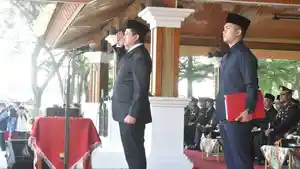 pimpinupacarararararararararara.jpg