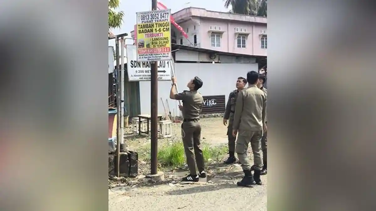 Puluhan Reklame Liar, Dicopot Petugas Satpol PP dan Damkar HSS dari Tiang Listrik dan Pohon