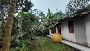 20260222-banyumas-puting-beliung-cilongok.jpg