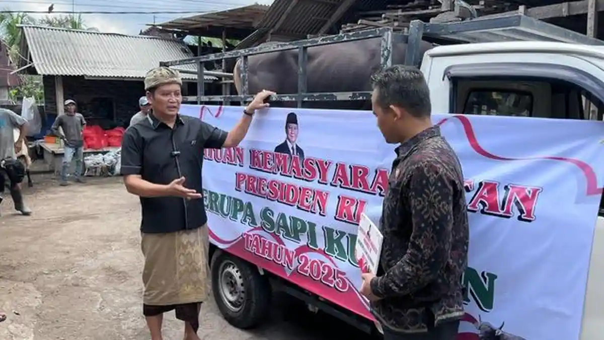 Sapi Presiden Prabowo Berbobot 540 Kg Untuk Warga Jembrana, Diserahkan Bupati Kembang