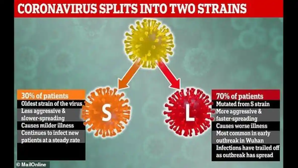 Lebih dari 1 Juta Orang Positif Covid-19, Simak Cara Penyebaran Virus Corona yang Sering Terjadi