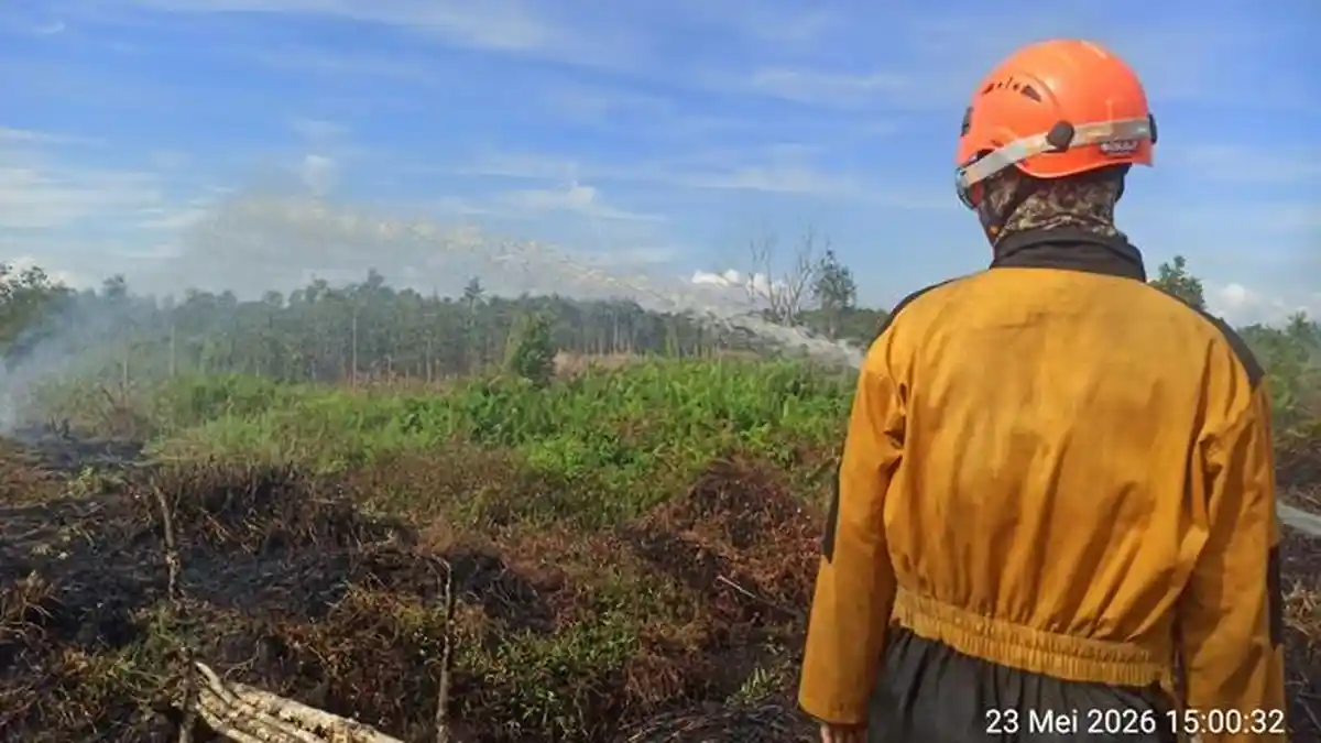 Lebih 2 Jam Atasi Kebakaran Lahan di Banjarbaru, Terdata 35 Titik Panas di Kalsel - Banjarmasinpost.co.id