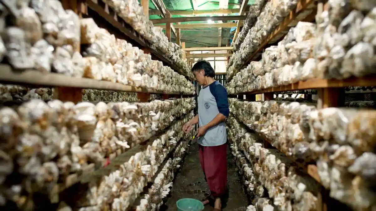 Mengenal Desa BRILIan Trawas: Giat Sukses Pelaku UMKM Berkat Inovasi dan Kreativitas