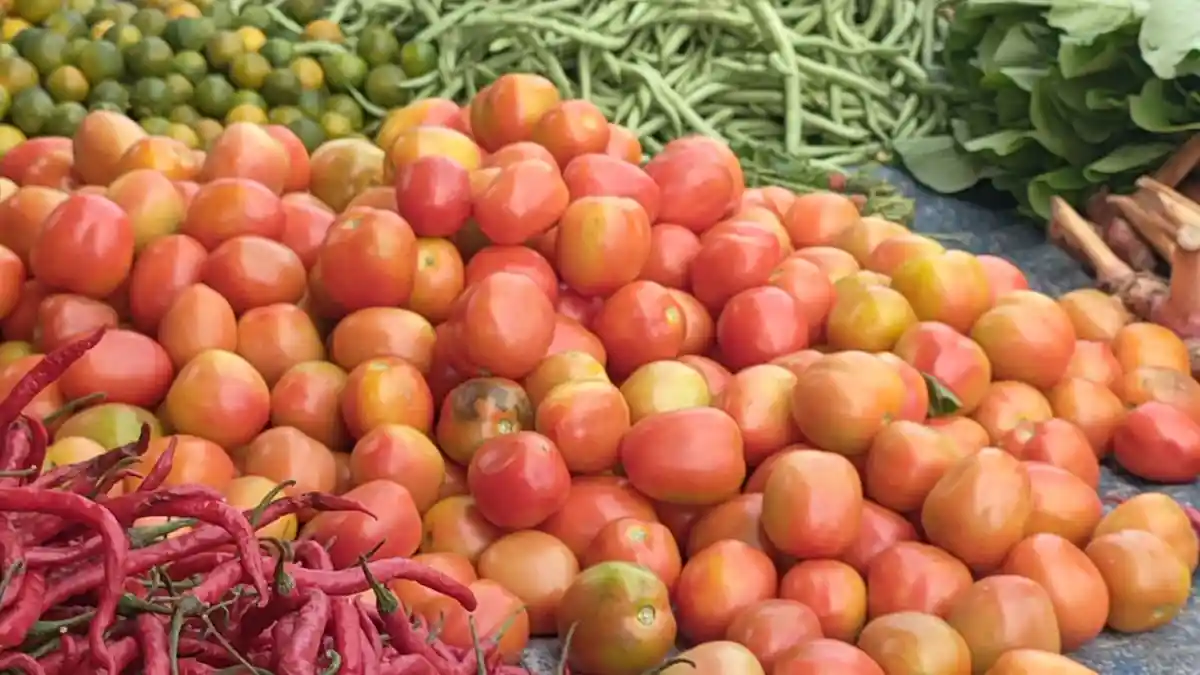 Harga Tomat di Pasar Binaiya Masohi Mulai Turun, Perkilo Rp 20 Ribu