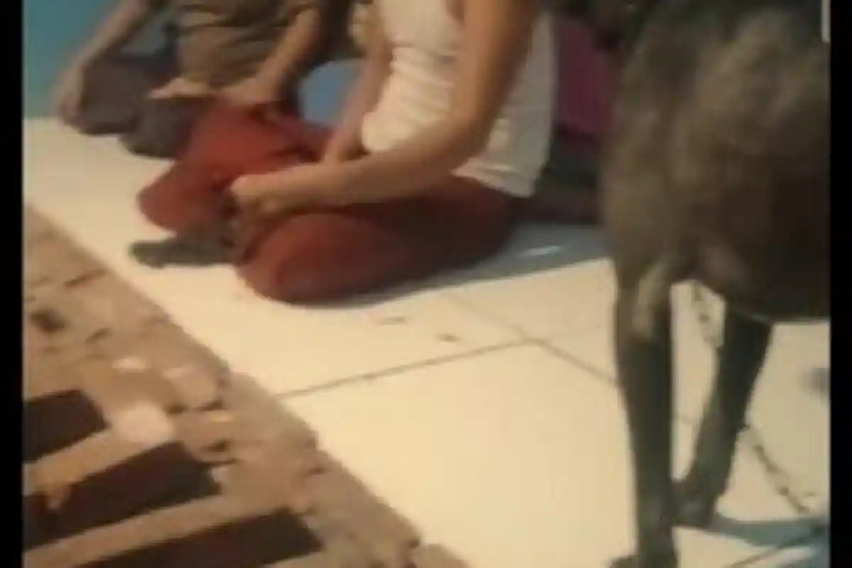 Viral di Medsos Ritual Aliran Sesat di Cisoka, Dijilat Anjing Hitam untuk Hidup Sejahtera