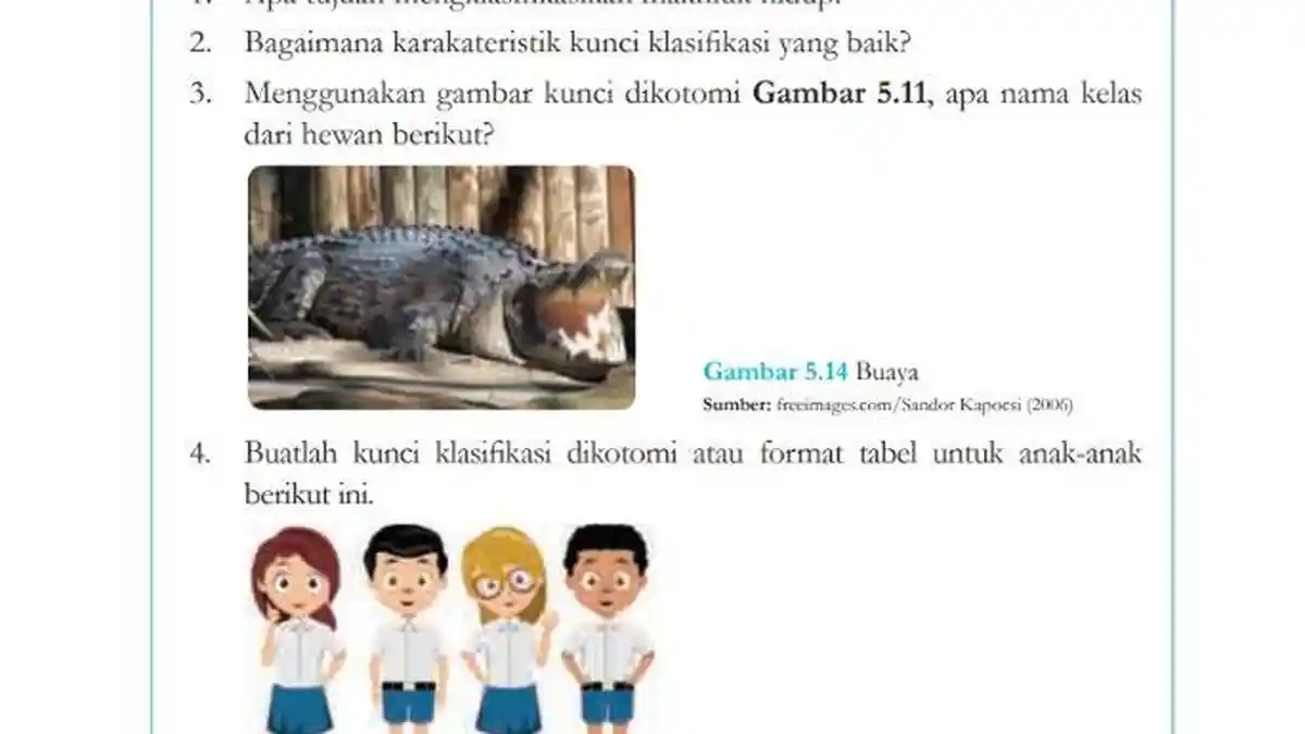 Kunci Jawaban IPA Kelas 7 Halaman 144 Semester 2, Klasifikasi Makhluk Hidup