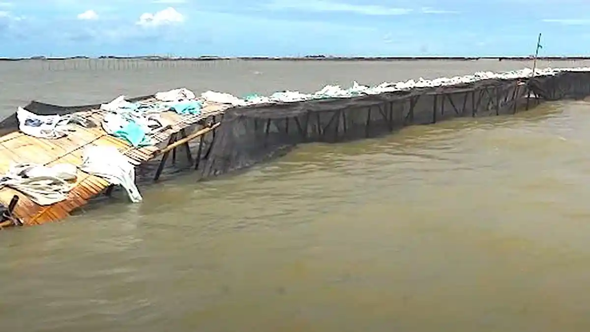 Selain di Tangerang, Pagar Laut Juga Ditemukan di Perairan Pesisir Bekasi