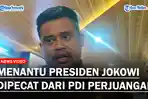 bobby-dipecat-dari-pdi-perjuangan.jpg