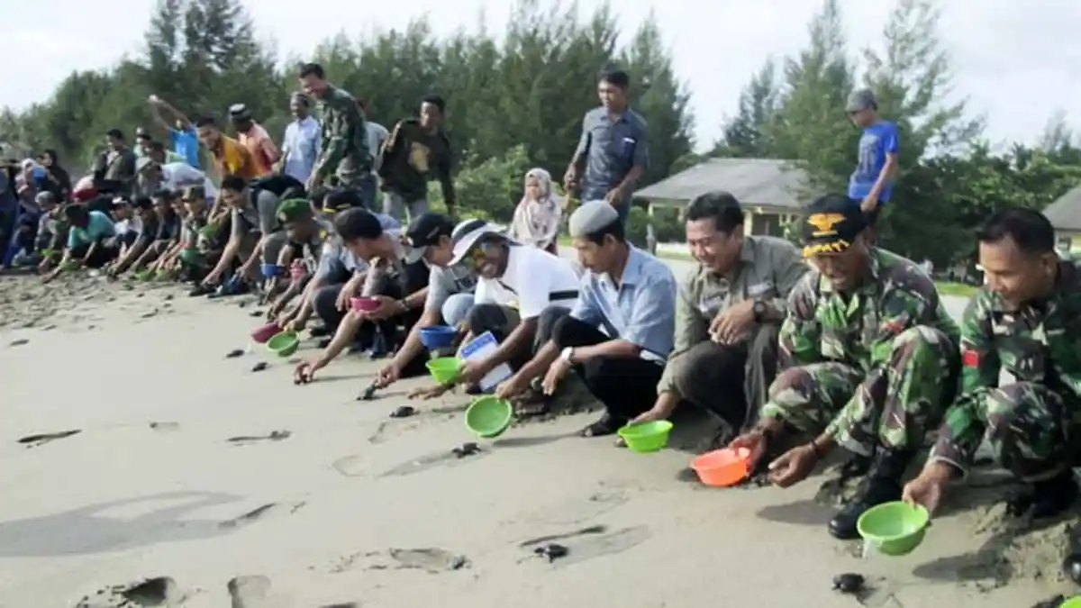 Siapapun Boleh Kelola Hutan Aceh