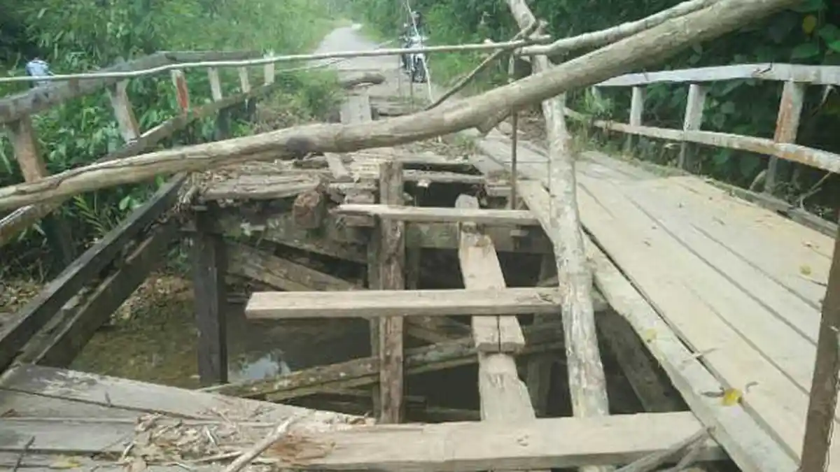 BREAKING NEWS: Jembatan Kayu Sungai Besai di Perbatasan Roboh