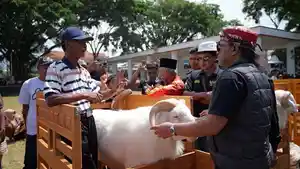 20260517-_-Bupati-Agus-Setyawan-Saksikan-Nyancang-Bareng-dan-Pameran-Domba-Temanggung.jpg