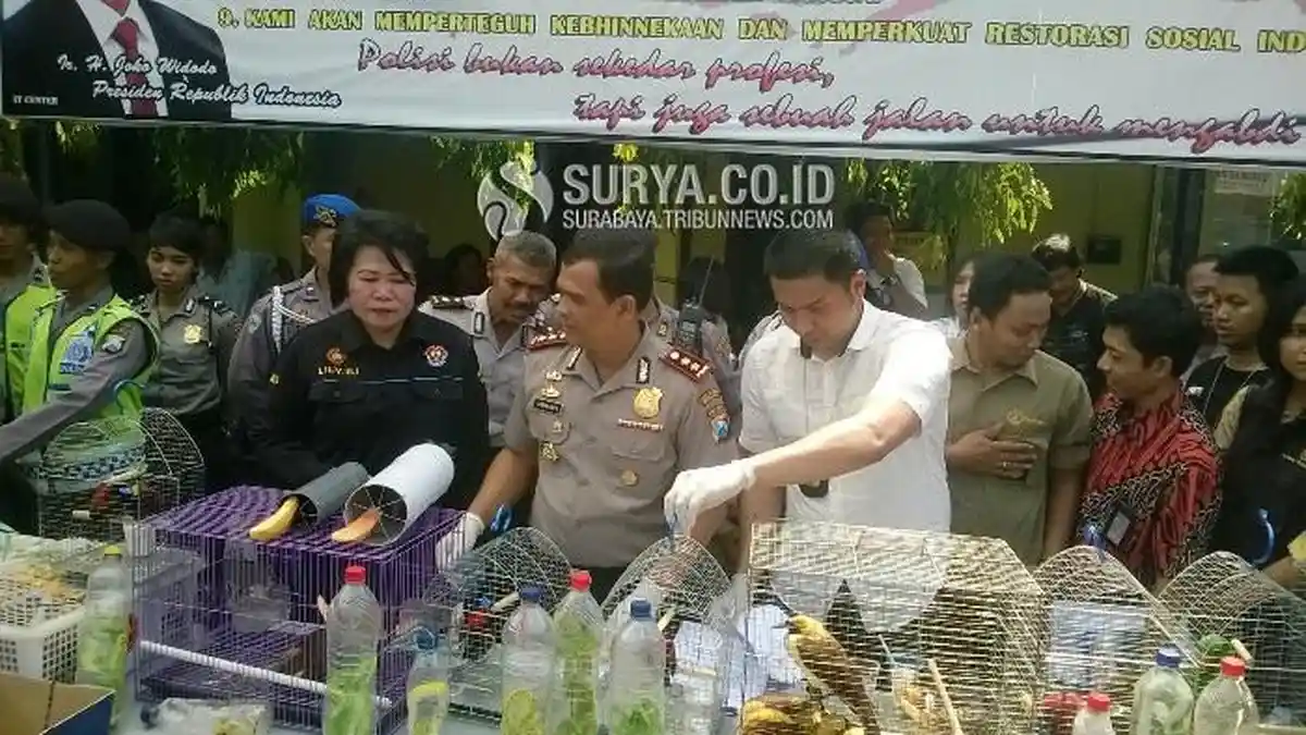 Binatang Langka itu Dijual Sudah Dalam Keadaan Kering