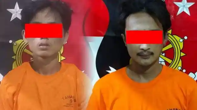 Tribun