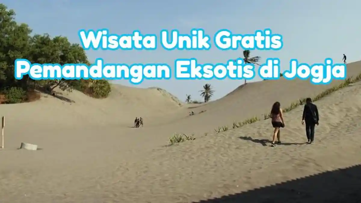 Di Jogja Ada Wisata Unik Gratis Pemandangan Eksotis, Bisa Main Ski Pasir, Cuma 2 Jam dari Klaten