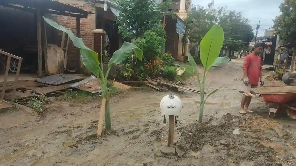 Viral Video Aksi Protes Warga Dawi-Dawi Pomalaa Kolaka Tanam Pohon Pisang di Jalanan Rusak